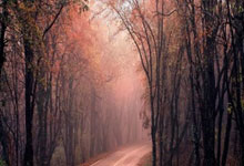 罗马客场逆转获胜，欧国联比赛冠军之路开启