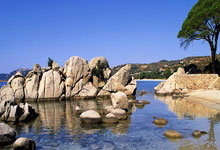 瑞典队球员庆祝生日收到祝福：温情瞬间与球迷互动的幕后故事